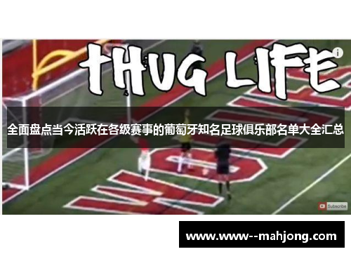 全面盘点当今活跃在各级赛事的葡萄牙知名足球俱乐部名单大全汇总 全面盘点当今活跃在各级赛事的葡萄牙知名足球俱乐部名单大全汇总