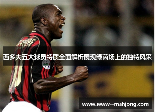 西多夫五大球员特质全面解析展现绿茵场上的独特风采