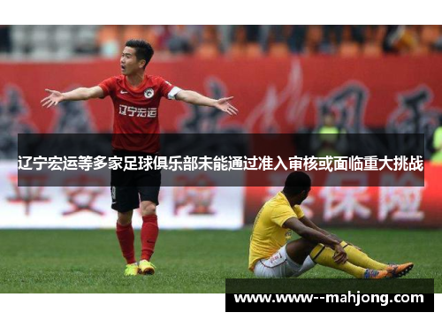 辽宁宏运等多家足球俱乐部未能通过准入审核或面临重大挑战