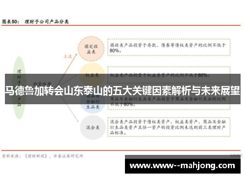 马德鲁加转会山东泰山的五大关键因素解析与未来展望