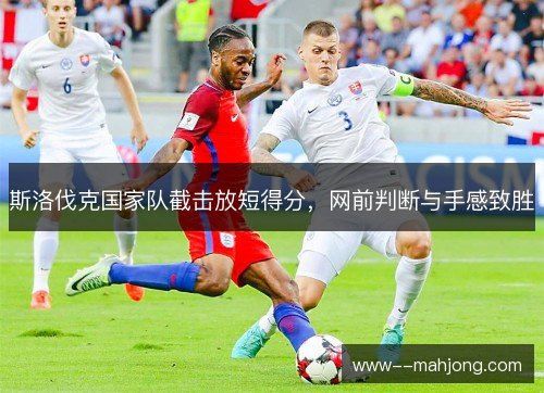 斯洛伐克国家队截击放短得分,网前判断与手感致胜 斯洛伐克国家队截击放短得分,网前判断与手感致胜