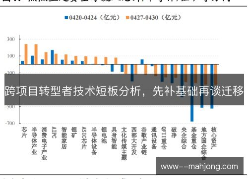 跨项目转型者技术短板分析，先补基础再谈迁移