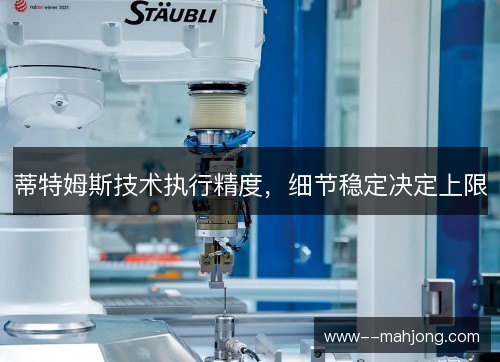 蒂特姆斯技术执行精度，细节稳定决定上限